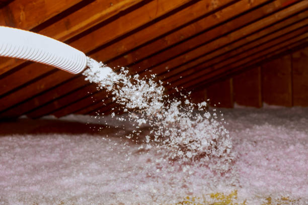 Best Commercial Insulation in Oakwood Hls, IL