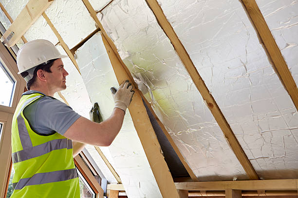 Best Types of Insulation in Oakwood Hls, IL