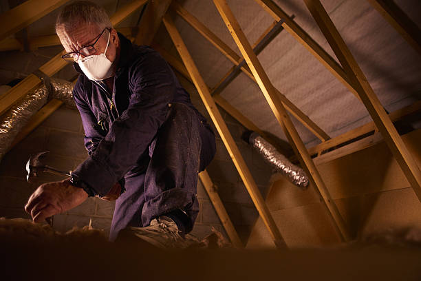 Best Insulation Maintenance and Repair in Oakwood Hls, IL